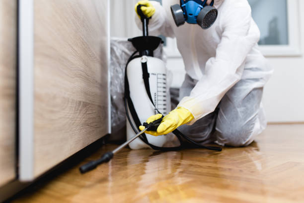 Best Best Pest Control Near Me  in Richmond, MI