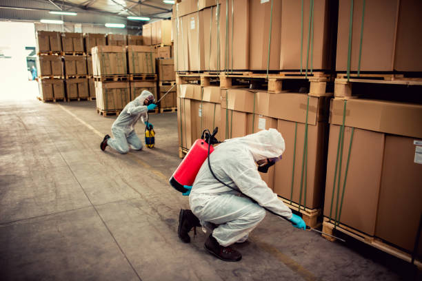 Best Wasp Removal Services  in Richmond, MI