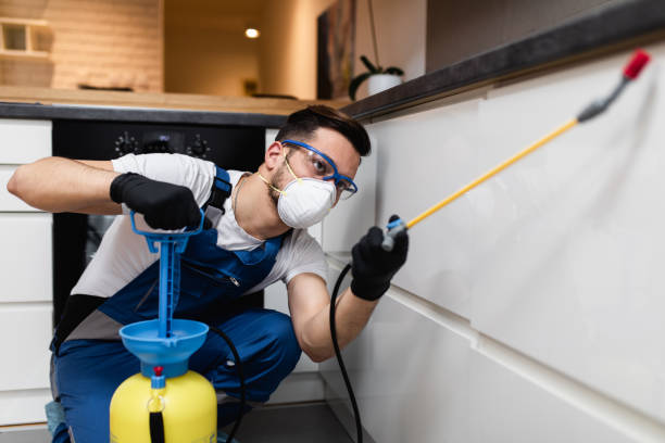 Best Affordable Pest Control Services  in Richmond, MI