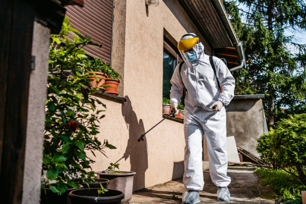 Pest Prevention Services in Richmond, MI