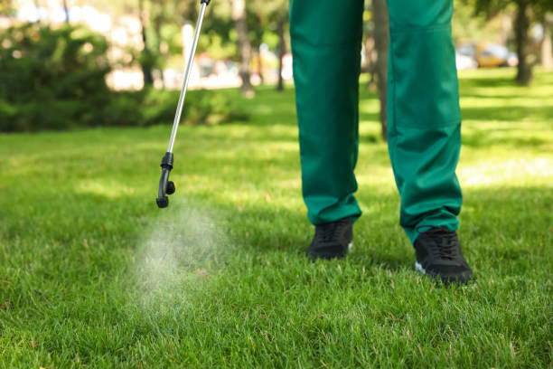 Best Pest Control for Homes  in Richmond, MI