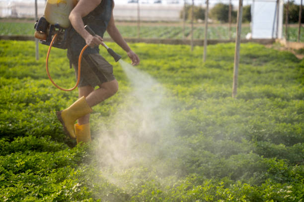 Best Pest Removal Services  in Richmond, MI