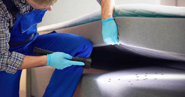 Best Rat Extermination Near Me  in Richmond, MI