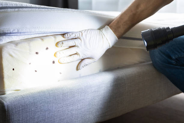 Best Pest Control Near Me in Richmond, MI