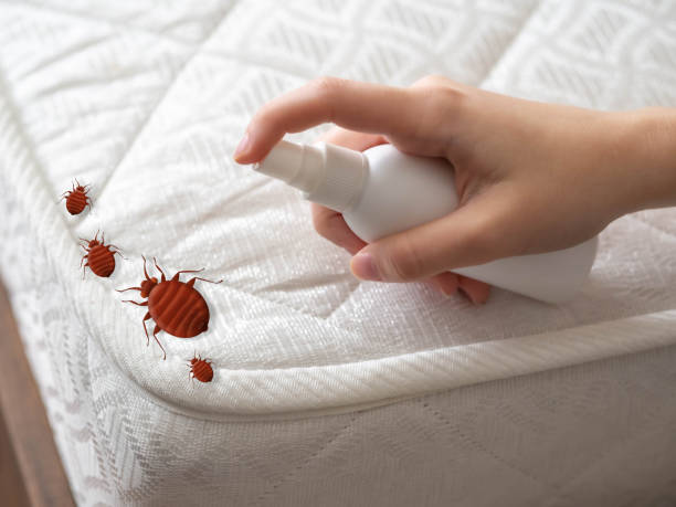 Best Termite Control Services  in Richmond, MI