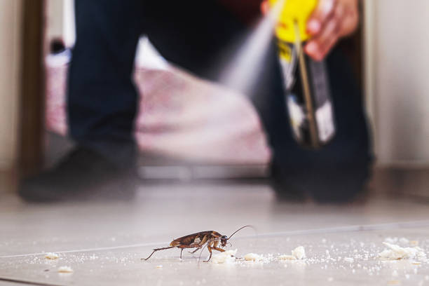 Best Bed Bug Extermination  in Richmond, MI