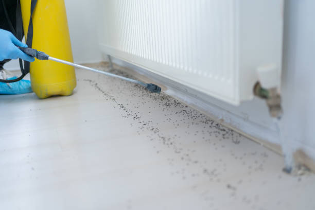 Best Residential Pest Control  in Richmond, MI