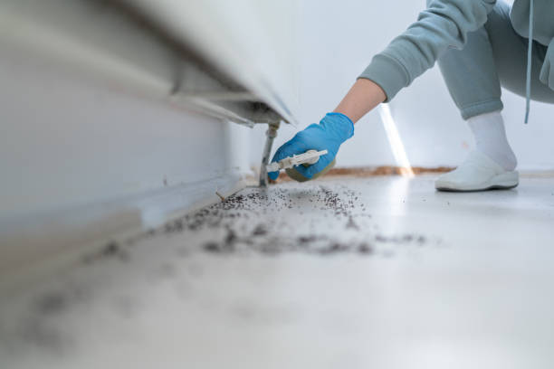 Pest Prevention Services in Richmond, MI