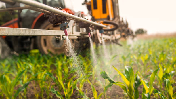 Best Ant Control Services  in Richmond, MI